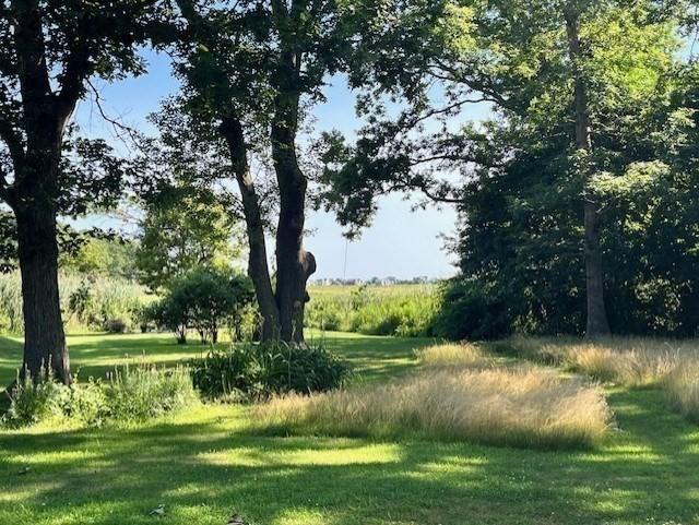 view of landscape