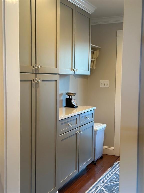 interior space featuring baseboards, dark wood-type flooring, and crown molding