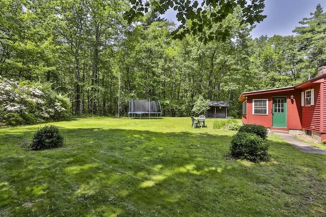 589 Turnpike, Ashby, MA 01431 - view of green lawn featuring a trampoline and entry steps