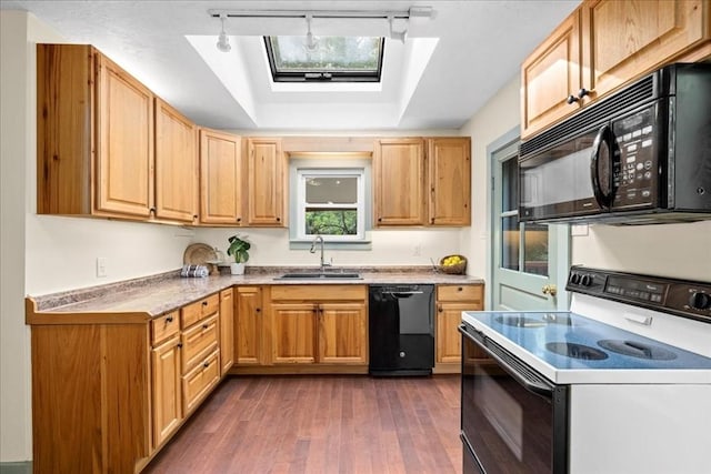 39 Mashapaug Rd, Sturbridge, MA 01566 - kitchen featuring black appliances, a skylight, a tray ceiling, dark wood-type flooring, and rail lighting