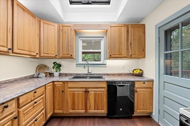 39 Mashapaug Rd, Sturbridge, MA 01566 - kitchen featuring black dishwasher, a raised ceiling, dark wood-style floors, and range