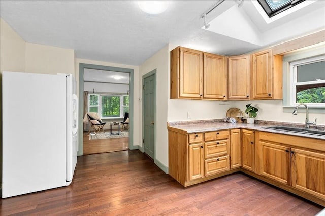 39 Mashapaug Rd, Sturbridge, MA 01566 - kitchen featuring freestanding refrigerator, a skylight, dark wood-style floors, and healthy amount of natural light
