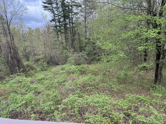 48 N Main St, New Salem, MA 01355 - view of tree filled area