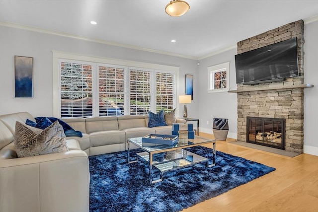 living room featuring ornamental molding, baseboards, wood finished floors, and a fireplace