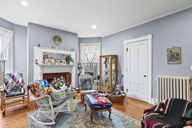 living room with wood finished floors, radiator, a fireplace, and ornamental molding