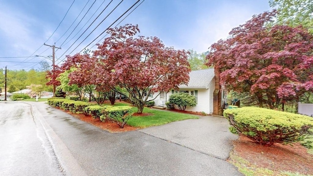 10 Briarwood Rd, Woburn, MA 01801 - view of property hidden behind natural elements