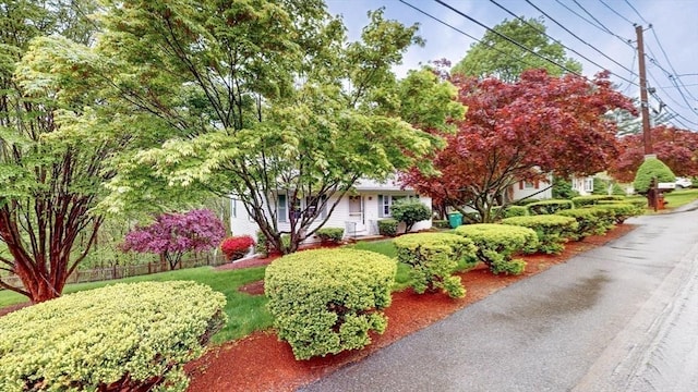 10 Briarwood Rd, Woburn, MA 01801 - view of obstructed view of property
