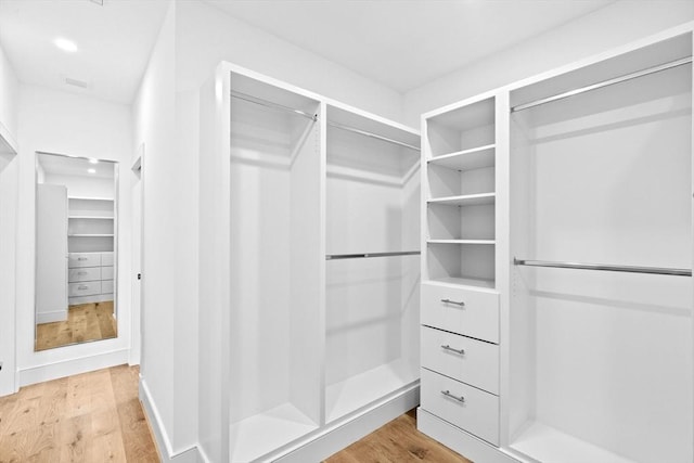 38 Old Shipyard Ln, Hanover, MA 02339 - spacious closet featuring light wood-style floors