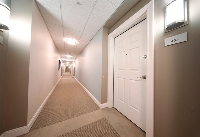35 Commonwealth Ave Unit 404, Newton, MA 02467 - hall with light colored carpet, baseboards, and a paneled ceiling