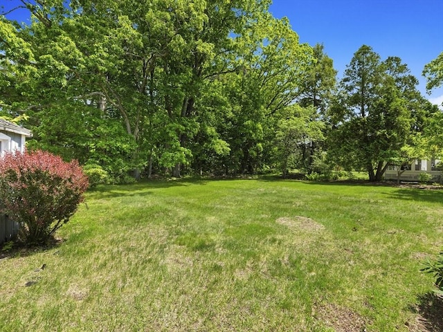 34 Kinsley Rd, Acton, MA 01720 - view of grassy yard