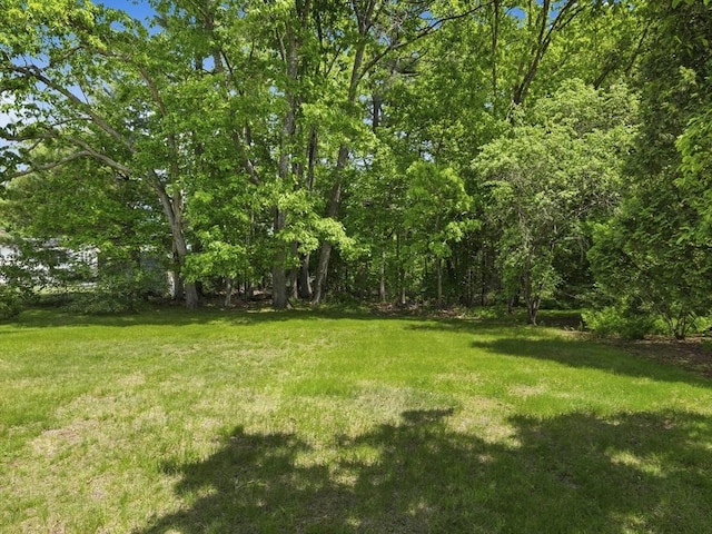 34 Kinsley Rd, Acton, MA 01720 - view of grassy yard
