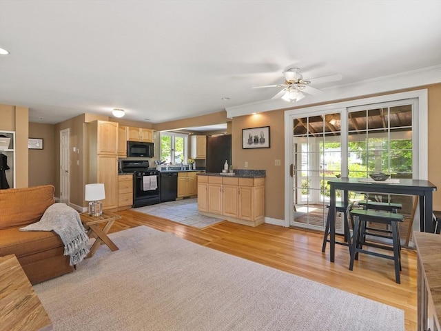 34 Kinsley Rd, Acton, MA 01720 - living room with a ceiling fan, baseboards, and light wood-type flooring