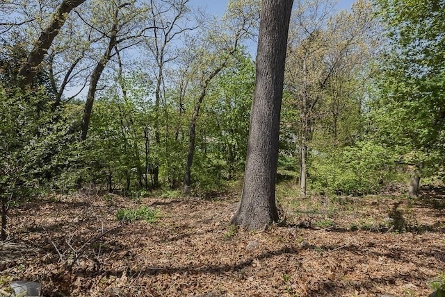 17 Woodcliff Rd, Quincy, MA 02169 - view of woods