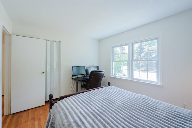 13 Dixon Cir, Holliston, MA 01746 - bedroom featuring wood finished floors and a closet