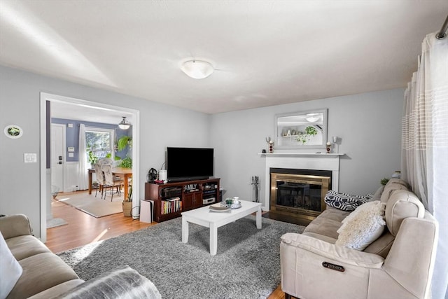 living room with hardwood / wood-style floors