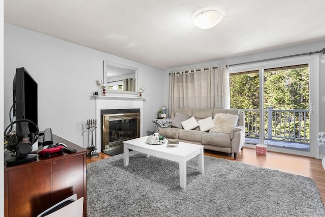 living room with wood-type flooring