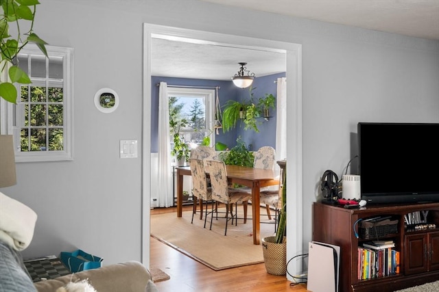 living room featuring light hardwood / wood-style flooring