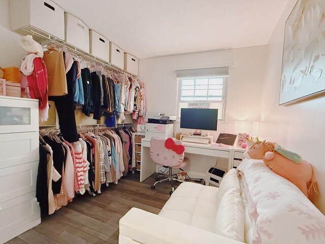 spacious closet featuring wood finished floors