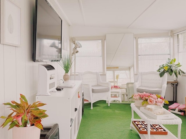 playroom with carpet floors