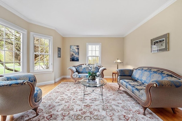 living area featuring baseboards, ornamental molding, and wood finished floors