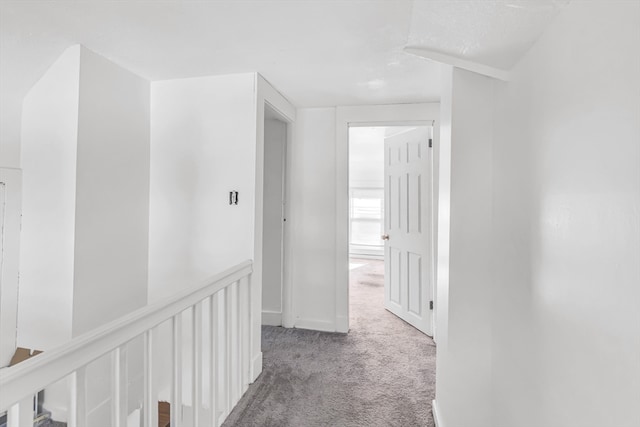 hallway with carpet floors