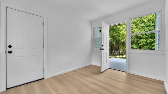 90 Fox Farms Rd, Northampton, MA 01062 - entryway with baseboards, light wood-style floors, and healthy amount of natural light