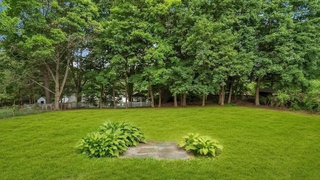 90 Fox Farms Rd, Northampton, MA 01062 - view of yard