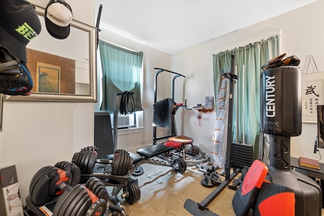 exercise room with cooling unit