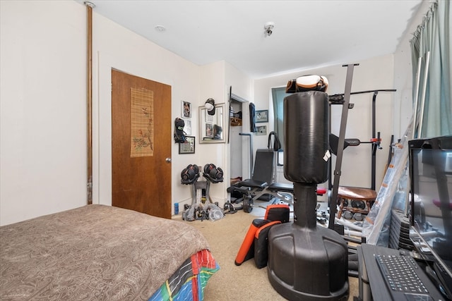 workout room with carpet flooring