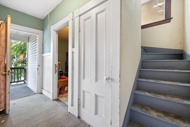 stairway featuring carpet floors