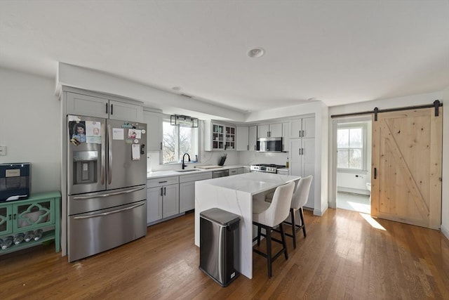 kitchen featuring a barn door, plenty of natural light, appliances with stainless steel finishes, and dark wood-style floors