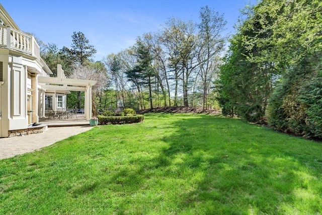 view of grassy yard with a patio area and a balcony