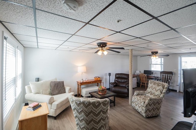 living area with a ceiling fan, a drop ceiling, and wood finished floors