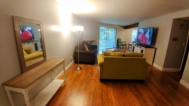 living room with hardwood / wood-style floors