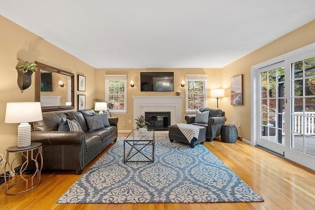 living area with wood finished floors, plenty of natural light, a glass covered fireplace, and baseboards