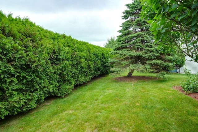 7 Chandler Way Unit 7, Northborough, MA 01532 - view of grassy yard
