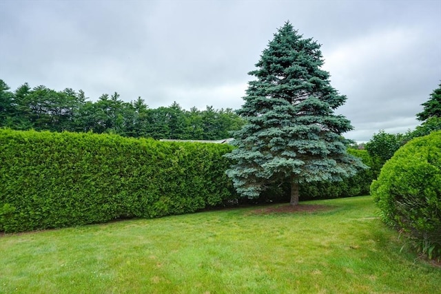 7 Chandler Way Unit 7, Northborough, MA 01532 - view of grassy yard