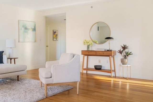 living area featuring light hardwood / wood-style floors