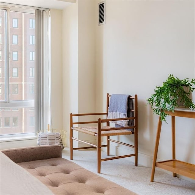 sitting room featuring carpet flooring