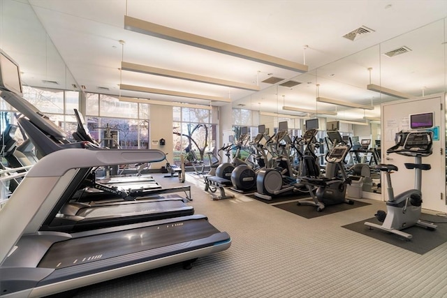 gym with carpet flooring