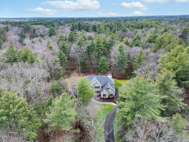 46 Mansfield Ave, Norton, MA 02766 - birds eye view of property with a forest view