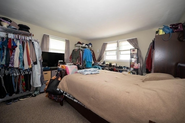 60 High Ridge Rd, Worcester, MA 01602 - bedroom with carpet floors