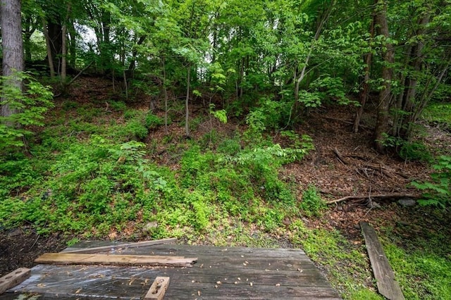 60 High Ridge Rd, Worcester, MA 01602 - view of nature