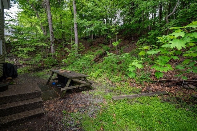 60 High Ridge Rd, Worcester, MA 01602 - view of yard