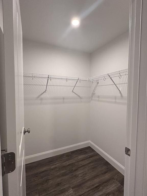 58 Dudley Rd, Billerica, MA 01821 - walk in closet with dark wood finished floors