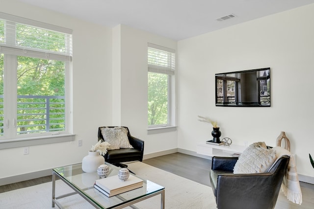 living room featuring hardwood / wood-style flooring