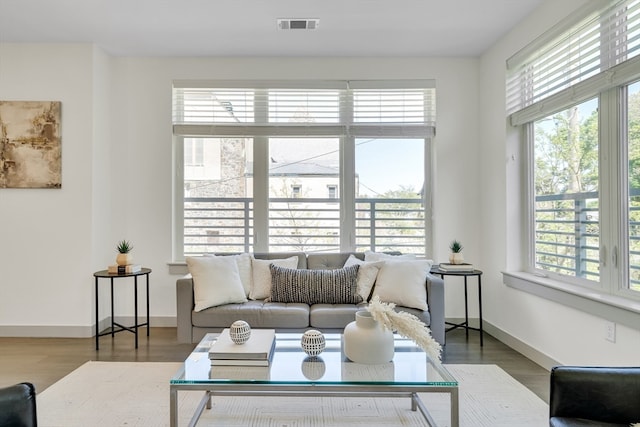 living room with a healthy amount of sunlight and wood-type flooring