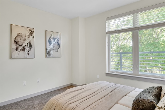 bedroom featuring carpet floors and multiple windows