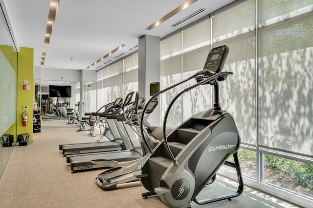 gym featuring carpet flooring