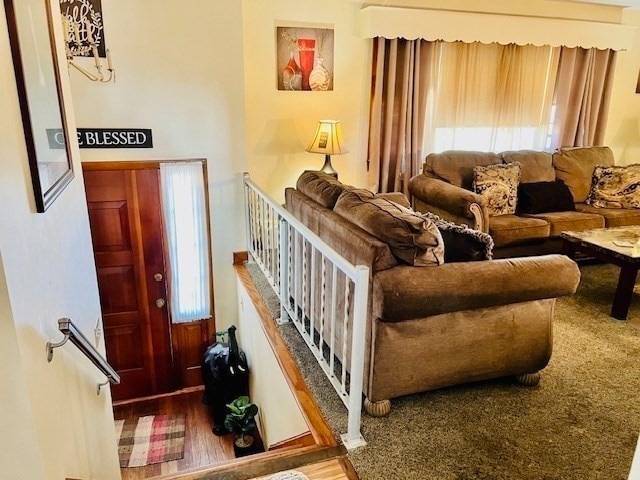 carpeted living room featuring a wealth of natural light